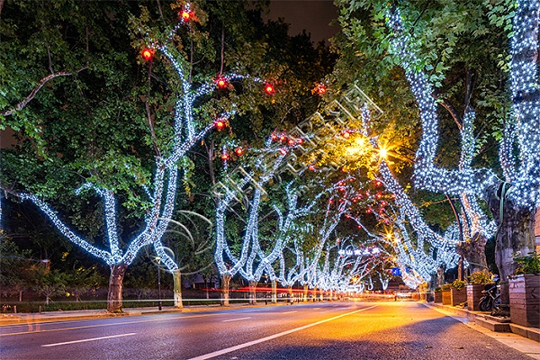 道路树木亮化工程