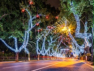 街道树木亮化