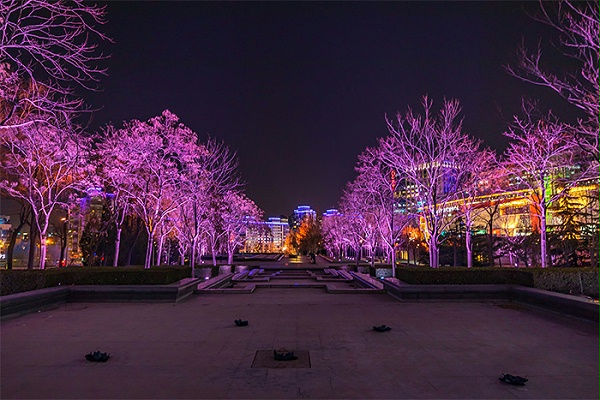 公园绿地夜景亮化