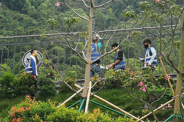 明亮照明集团香港亮化项目施工现场